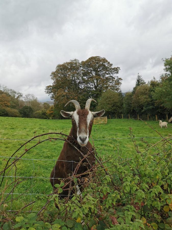 Rainors Farm Cottage Gosforth  ภายนอก รูปภาพ